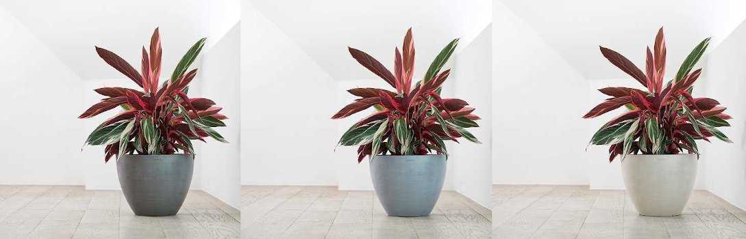 Σειρά Γλαστρών Antwerp της Ecopots 